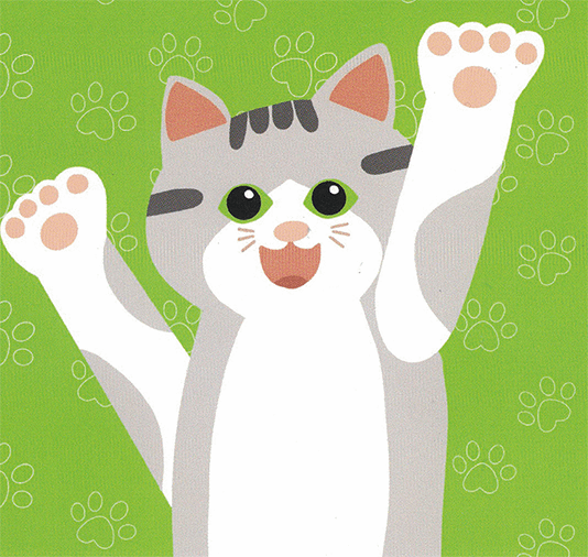 Katzenbild Einbau Katzentüre Kosten
