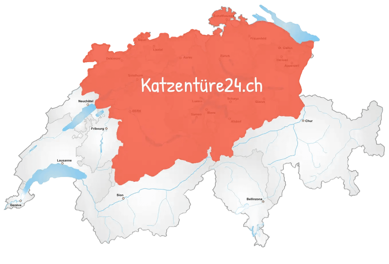 Katzentüre einbauen kosten