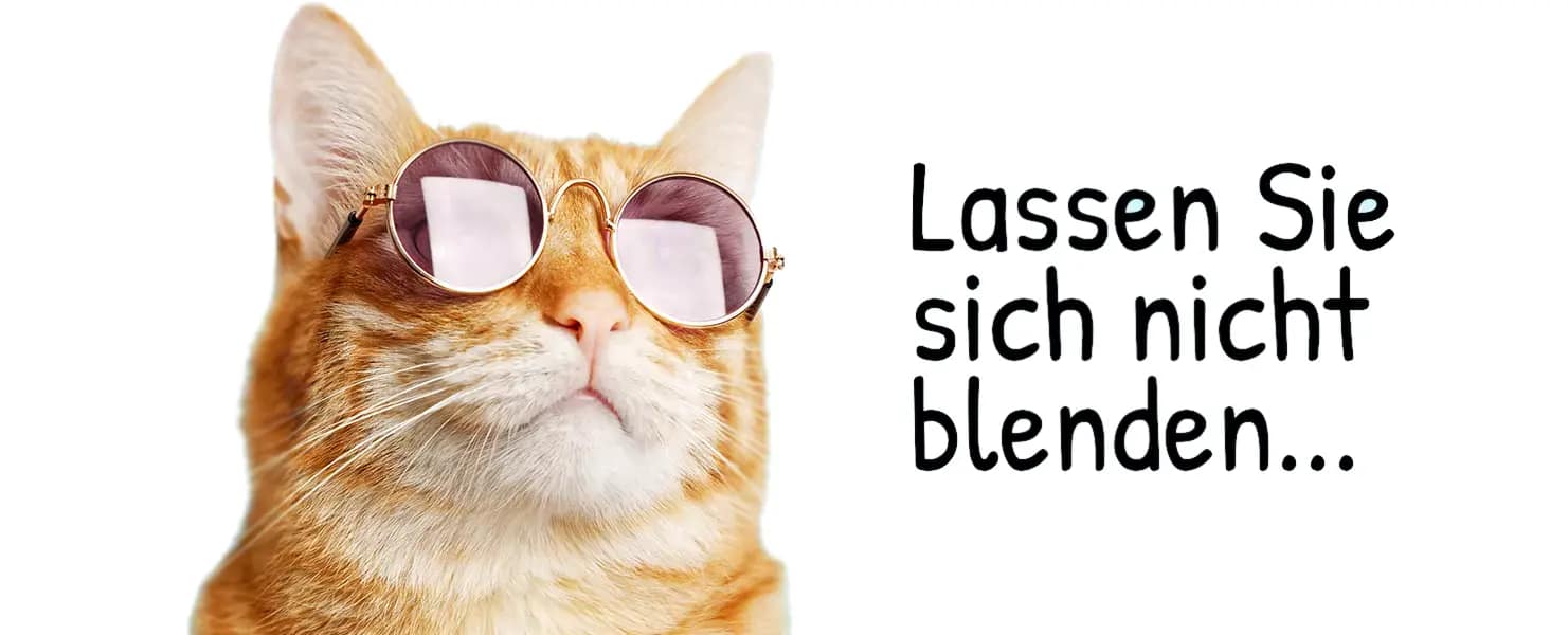 Günstige Katzentüre Einbau